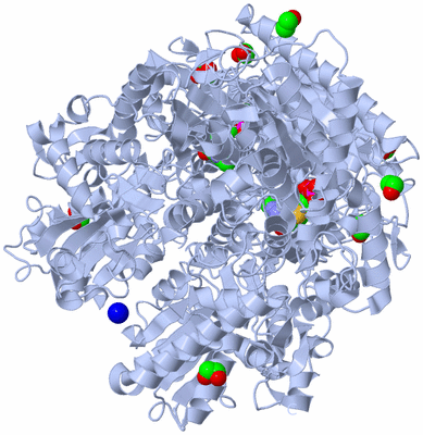 Image Biological Unit 1