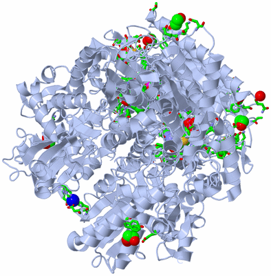 Image Biol. Unit 1 - sites