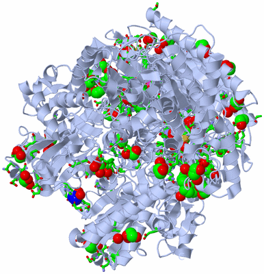 Image Biol. Unit 1 - sites