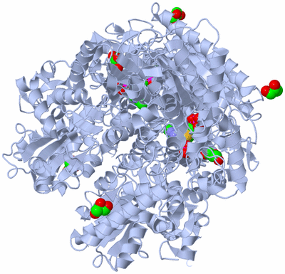 Image Biological Unit 1