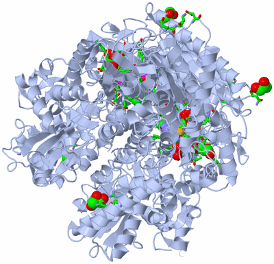 Image Biol. Unit 1 - sites