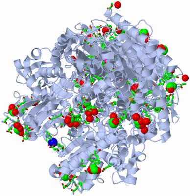 Image Biol. Unit 1 - sites