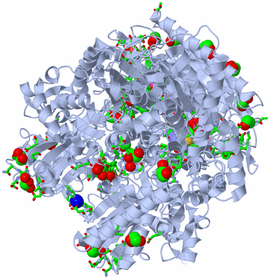 Image Biol. Unit 1 - sites