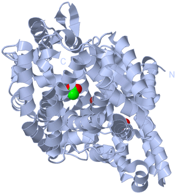 Image Biological Unit 1