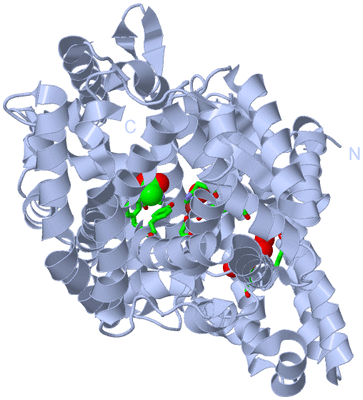 Image Biol. Unit 1 - sites