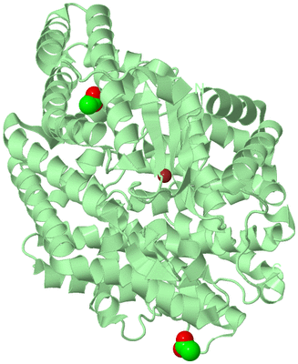 Image Biological Unit 2