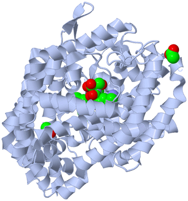 Image Biological Unit 1