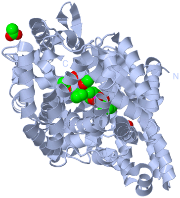 Image Biological Unit 1