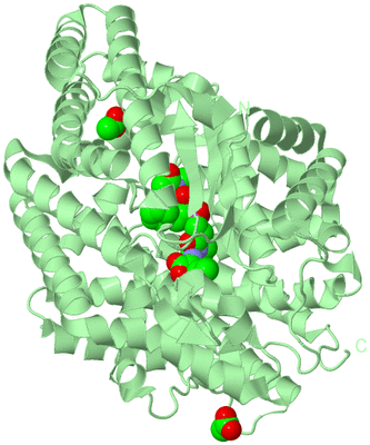 Image Biological Unit 2