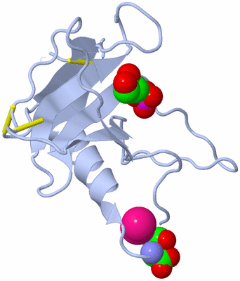 Image Biological Unit 1