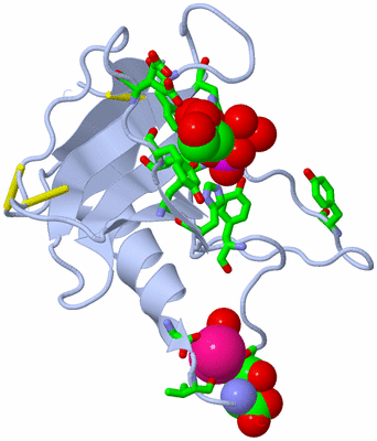 Image Biol. Unit 1 - sites