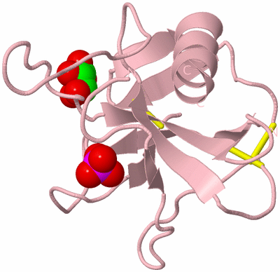 Image Biological Unit 3