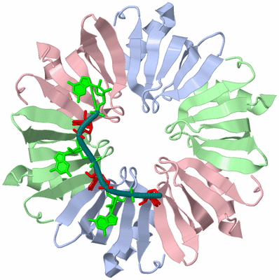 Image Biological Unit 1