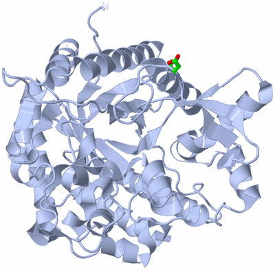 Image Biol. Unit 1 - sites