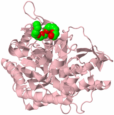 Image Biological Unit 3