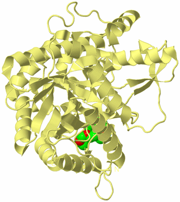 Image Biological Unit 4