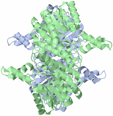 Image Biological Unit 1