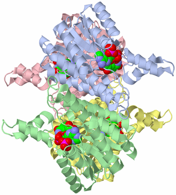 Image Biological Unit 1