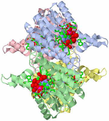 Image Biol. Unit 1 - sites