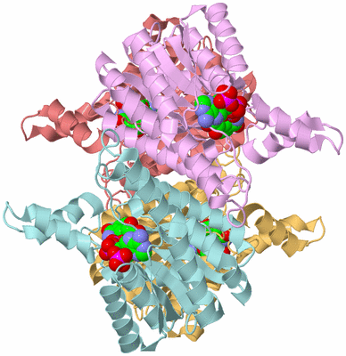 Image Biological Unit 2