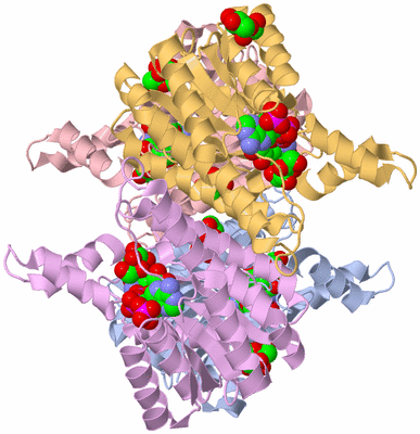 Image Asym./Biol. Unit