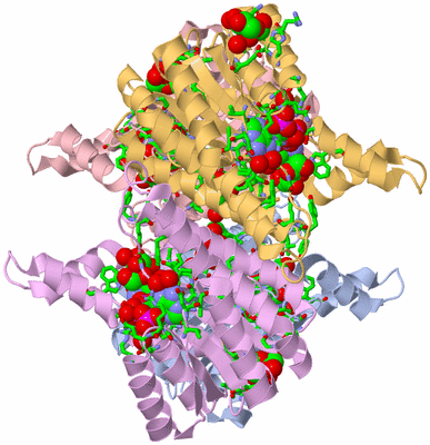 Image Asym./Biol. Unit - sites