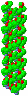 Image Asymmetric Unit