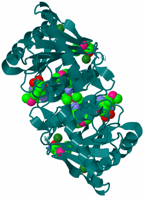 Image Biological Unit 1