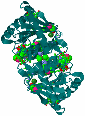 Image Biol. Unit 1 - sites