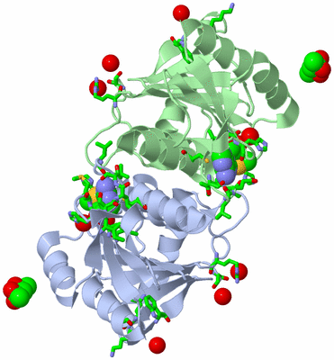 Image Asym./Biol. Unit - sites