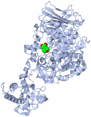 Image Biological Unit 1