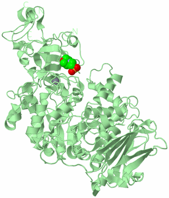 Image Biological Unit 2