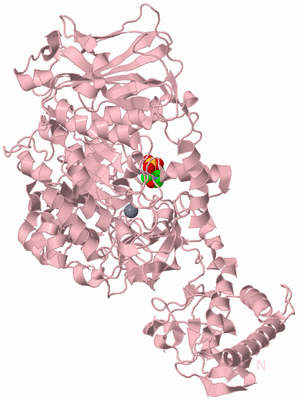 Image Biological Unit 3