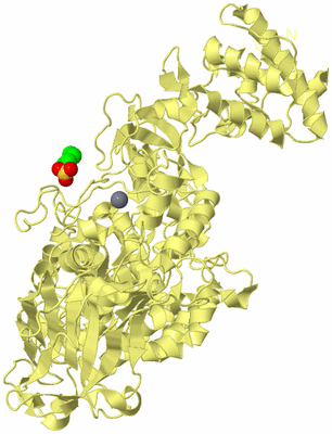 Image Biological Unit 4