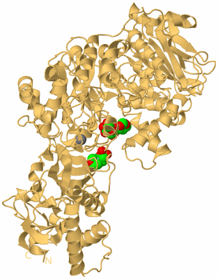 Image Biological Unit 5