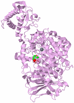 Image Biological Unit 6