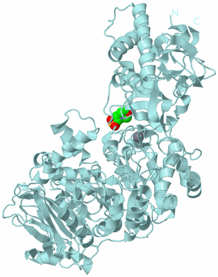 Image Biological Unit 7