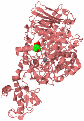 Image Biological Unit 8