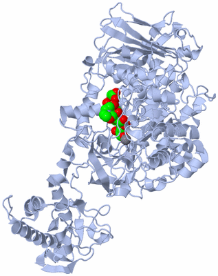 Image Biological Unit 1