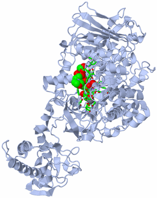 Image Biol. Unit 1 - sites