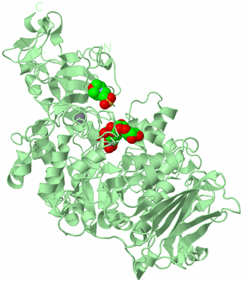 Image Biological Unit 2