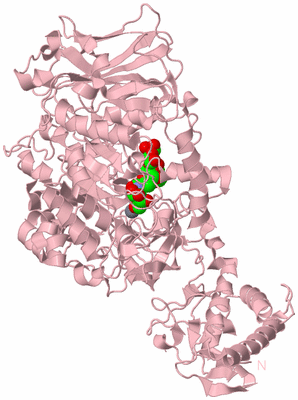 Image Biological Unit 3