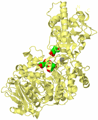 Image Biological Unit 4