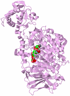 Image Biological Unit 5