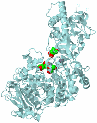 Image Biological Unit 6