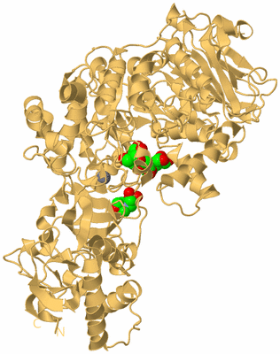 Image Biological Unit 7