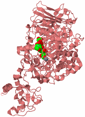 Image Biological Unit 8