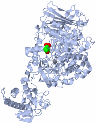 Image Biological Unit 1