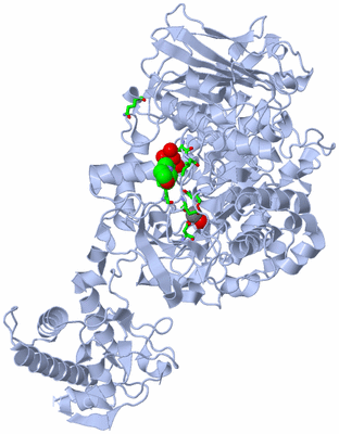 Image Biol. Unit 1 - sites