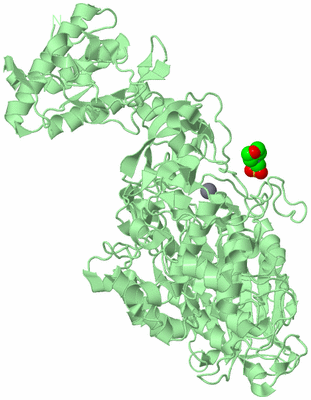 Image Biological Unit 2